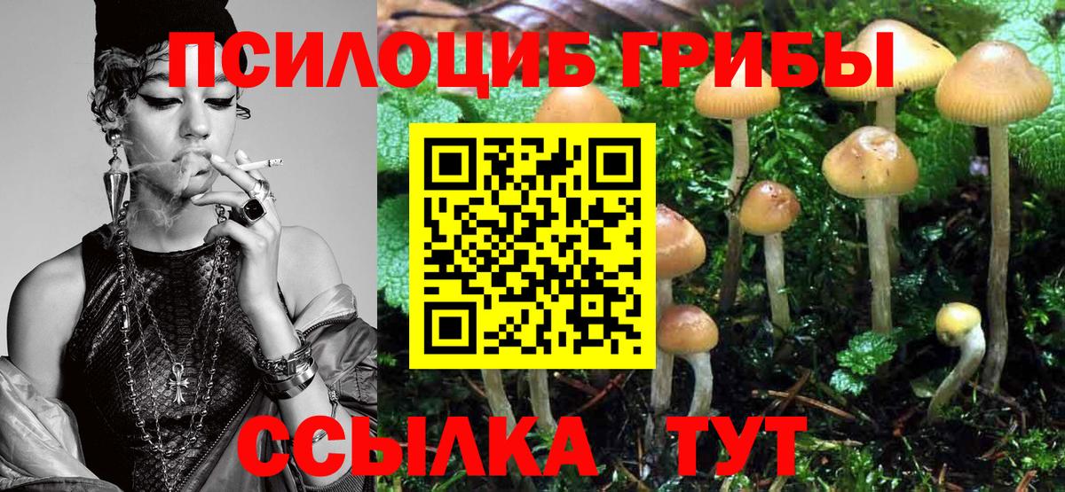 Липецк  Галлюциногенные грибы Psilocybine cubensis  Псилоцибиновые грибы Psilocybe  Вход с VPN 
