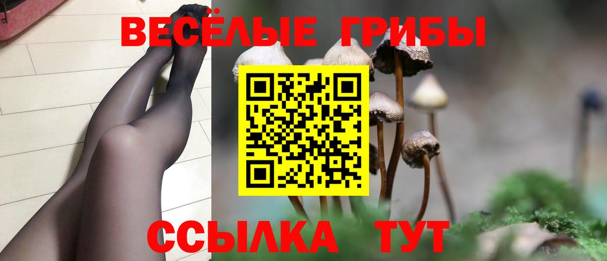 Псилоцибиновые грибы мухоморы Липецк